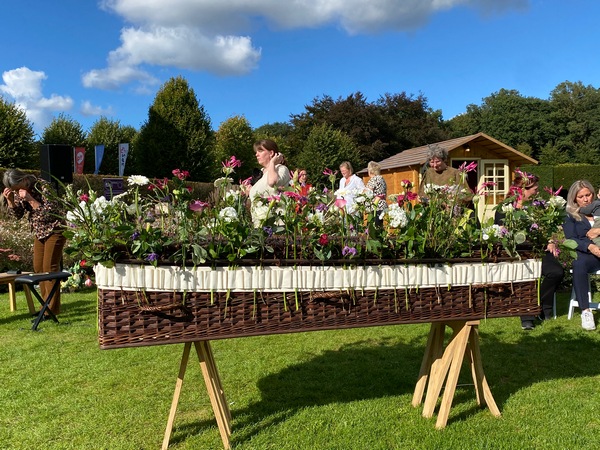 bloemenband bokjes small